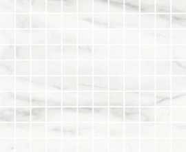 Мозаика Marbleplay White Mosaico