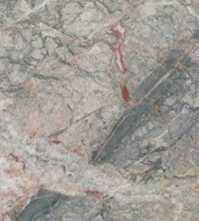Керамогранит Marmoker Fior di Pesco Lucido 60x120