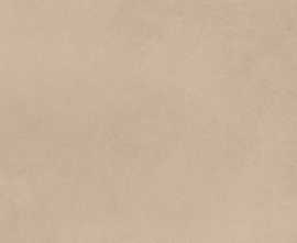 Керамогранит Mediterranea Coral 60x60