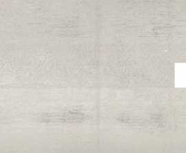 Декор Metal 2.0 White Lappato Inserto 29,75x59,55