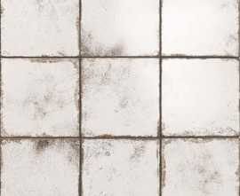 Керамогранит Metallici White 20x20