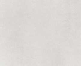 Керамогранит Micron 2.0 60x60 M2.0 60WL