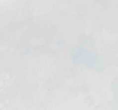 Плитка Mon Cloudy Garden 30x60