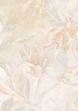 Декор Murano Vetro B Beige W\DEC M NR Glossy 1 25x75
