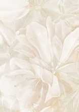 Декор Murano Vetro A Beige W\DEC M NR Glossy 1 25x75