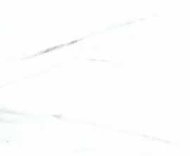 Керамогранит Muse White/Белый матовый 60x60
