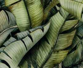 Декор Uniwersalne Inserto Glass Leaf B 30x60