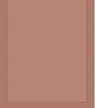 Плитка Neo Cotto 50x120