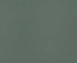 Керамогранит Neve Creative Dark Green Gres Mat 19,8x19,8