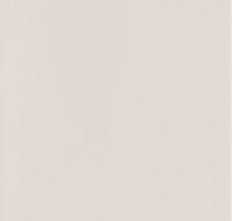 Плитка Neve Creative Light Grys Polysk 9,8x19,8