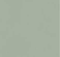 Плитка Neve Creative Green Polysk 9,8x19,8