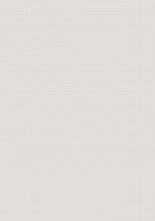 Плитка Neve Creative Dekor Light Grys Polysk 29,8x89,8