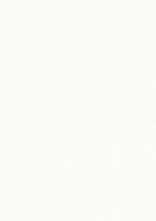 Плитка Neve Creative Dekor Bianco Polysk 29,8x89,8