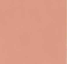 Плитка Neve Creative Blush Polysk 9,8x19,8