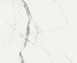 Керамогранит New ice white Nplus Brillo rec 60x120