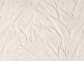 Плитка Nobu Litia White 50x120