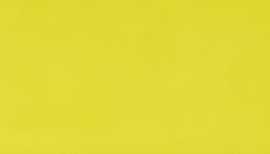 Плитка Nordic Lime 29,75x89,46