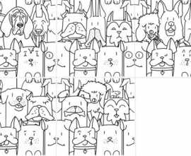 Керамогранит Oh My Dog 25x25