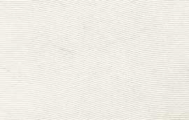 Плитка Organic Matt white 2 STR 32,8x89,8