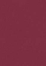 Плитка Outfit Red 25x76