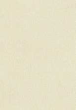 Плитка Outfit Ivory 25x76