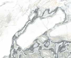 Керамогранит Oyster Blanco Leviglass 120x120
