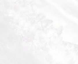 Плитка Palmira light 24,9x50