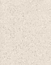 Керамогранит Parade 60x120 PRDE 12W RM