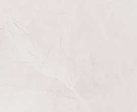 Керамогранит Parma ivory POL 79,8x79,8