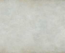 Керамогранит Patina Plate white MAT 119,8x239,8