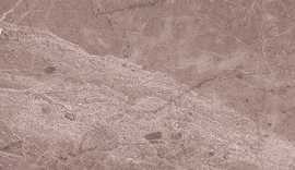 Плитка Pegas коричневый 20x60 (9 мм)