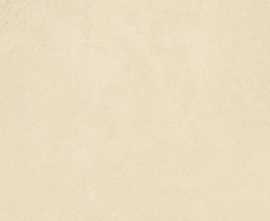 Плитка Petra Beige 24,9x50