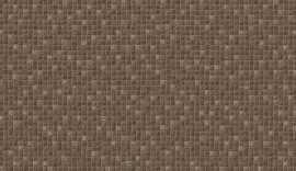 Плитка Gobi Marron 25x75