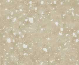 Керамогранит Petri beige 59,55x59,55