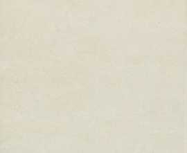 Керамогранит Pietra di Noto Beige 45x45