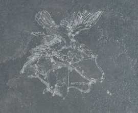 Декор Pietra Lavica Decoro Aquila Fuligo 49x49