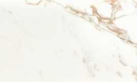 Плитка Precious Calacatta Gold Brilho Rett 35x100