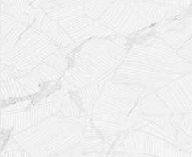 Плитка Purity Lace белый 25x40