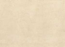 Плитка Quarta Beige wall 01 25x60