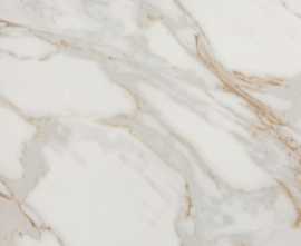 Керамогранит Roma Gold Calacatta Oro Brillante 120x120