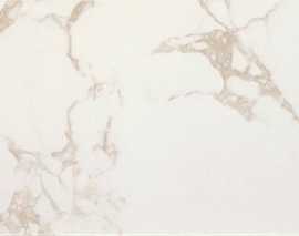 Плитка Roma Calacatta 50x120