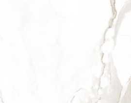 Плитка Roma Calacatta 50x110