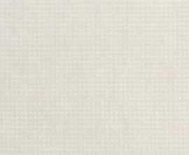 Керамогранит Rooy White matt 37,5x75