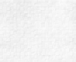 Плитка Santos White 24,9x50