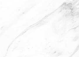 Плитка Scarlett white wall 01 25x60