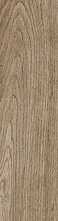 Керамогранит Selection Oak Amber 15x120