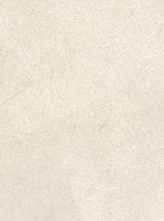 Декор Sense Amazon Beige Matt Rett 35x100