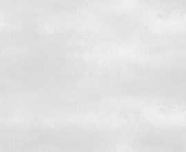 Плитка Shape White 24,9x50