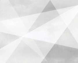 Плитка Shape Geometry White 24,9x50
