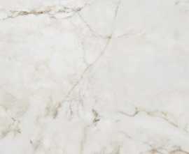 Керамогранит Shellstone white POL 59,8x119,8
